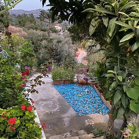 Butik Mor Salkim Evleri * Datça