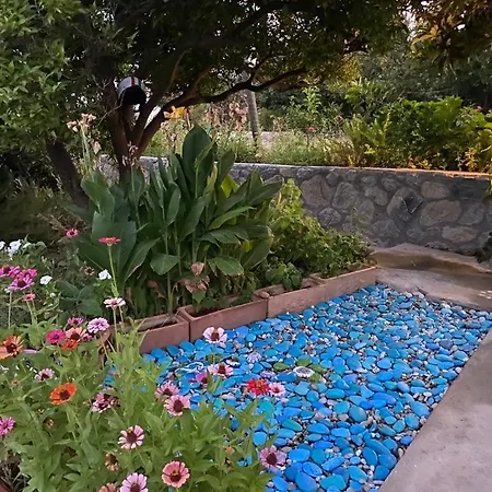 Butik Mor Salkim Evleri *