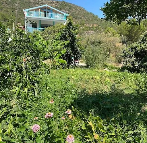 Butik Mor Salkim Evleri Datca