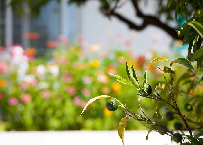 Butik Mor Salkim Evleri Case de vacanță