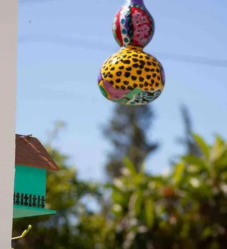 Butik Mor Salkim Evleri *