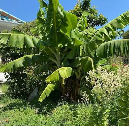 Butik Mor Salkim Evleri Datça