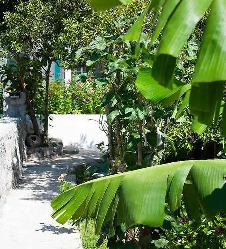 Butik Mor Salkim Evleri