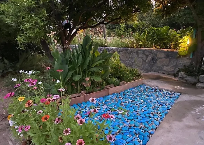 Butik Mor Salkim Evleri *