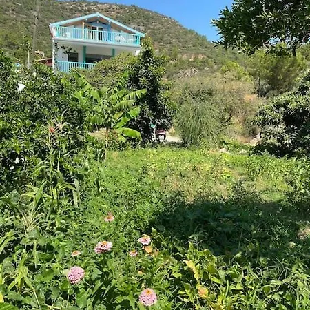 Butik Mor Salkim Evleri Datça