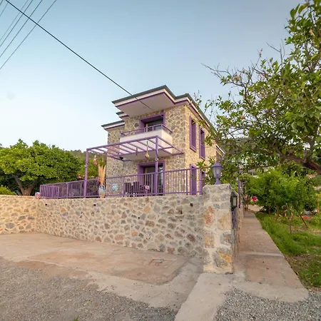 Сasa de vacaciones Butik Mor Salkim Evleri *